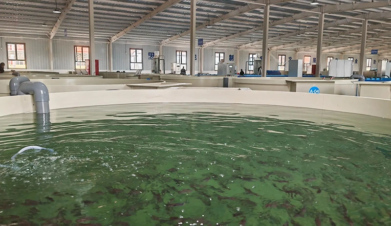 Agriculture and Aquaculture