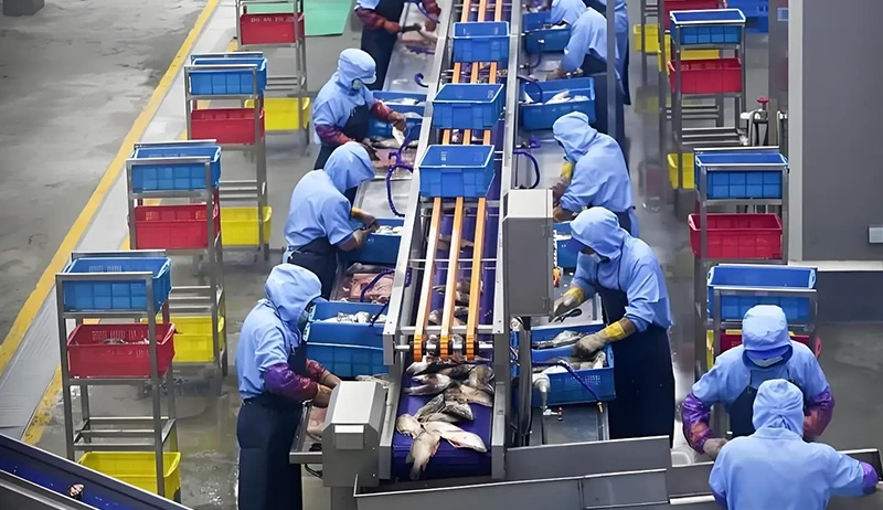 Food Industry (Food Grade) 