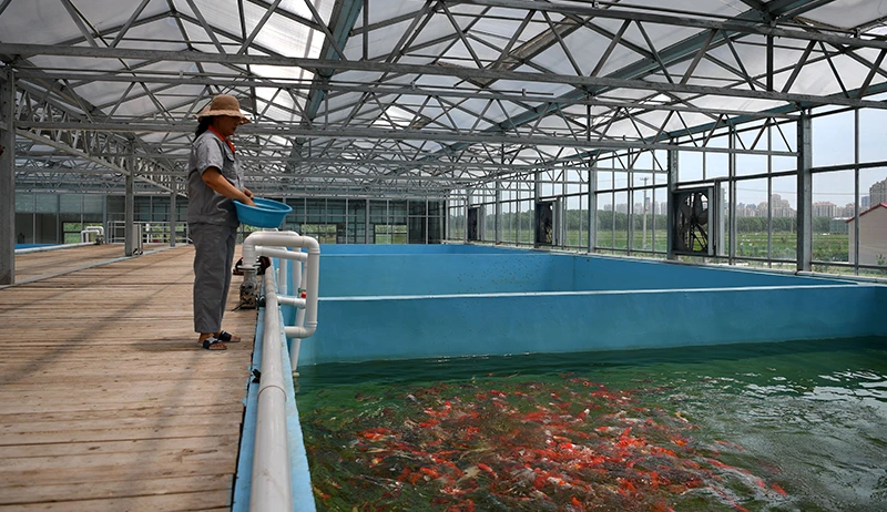 Agriculture and Aquaculture