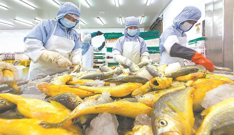 Food Industry (Food Grade) 